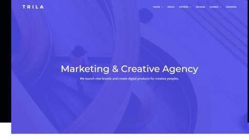 Шаблон дизайна портфолио "Trila" - фото к элементу №20 от 01.01.2019