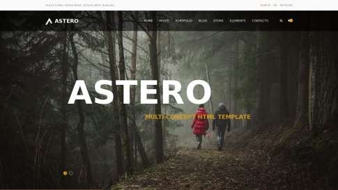 Премиум-шаблон дизайна сайта "Astero" - фото к элементу №2 от 01.01.2019