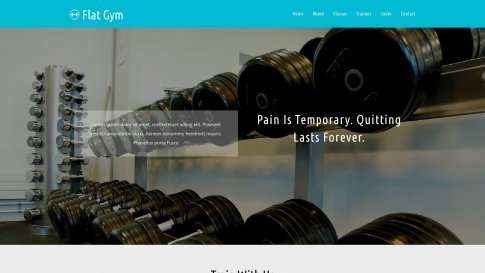 Шаблон дизайна портфолио "Flat Gym" - фото к элементу №1 от 01.01.2019