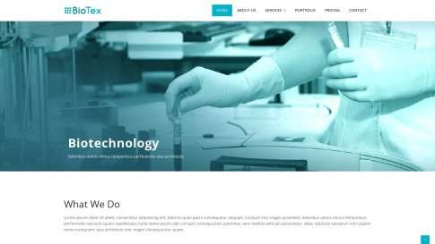 Шаблон дизайна портфолио "BioTex" - фото к элементу №1 от 01.01.2019