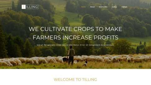 Шаблон дизайна портфолио "Tilling" - фото к элементу №12 от 01.01.2019