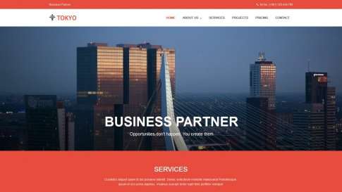 Шаблон дизайна портфолио "Tokyo" - фото к элементу №13 от 01.01.2019