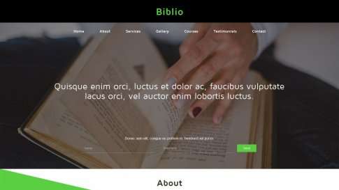 Шаблон дизайна лэндинга "Biblio" - фото к элементу №10 от 01.01.2019