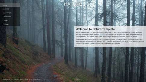Шаблон дизайна блога "Nature" - фото к элементу №9 от 01.01.2019