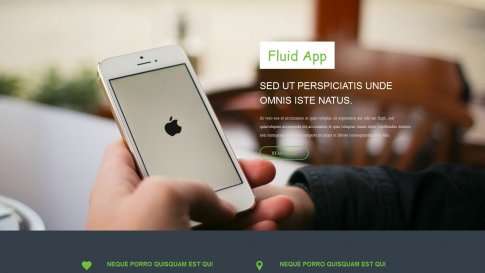 Шаблон дизайна лэндинга "Fluid App" - фото к элементу №2 от 01.01.2019