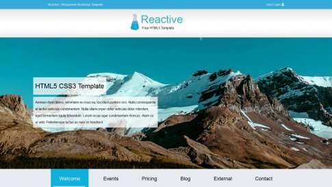 Шаблон дизайна лэндинга "Reactive" - фото к элементу №16 от 01.01.2019