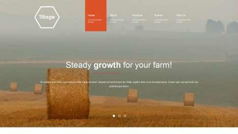 Шаблон дизайна портфолио "Tillage" - фото к элементу №11 от 01.01.2019