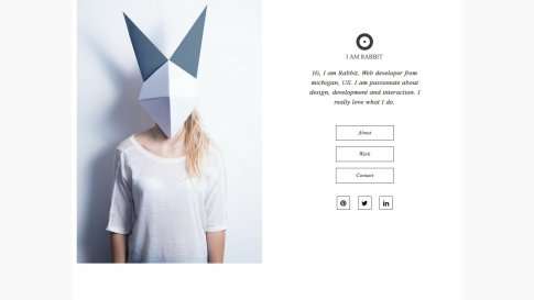 Шаблон дизайна портфолио "Rabbit" - фото к элементу №10 от 01.01.2019