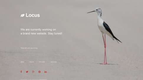 Шаблон дизайна заглушки сайта "Locus" - фото к элементу №11 от 01.01.2019