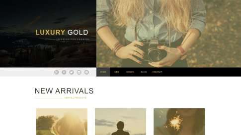 Шаблон дизайна блога "Luxury Gold" - фото к элементу №20 от 01.01.2019