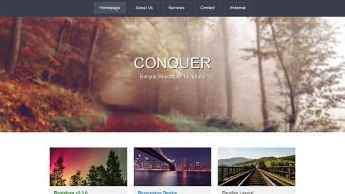 Шаблон дизайна лэндинга "Conquer" - фото к элементу №6 от 01.01.2019