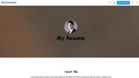 Шаблон дизайна лэндинга "My Resume" - фото к элементу №15 от 01.01.2019