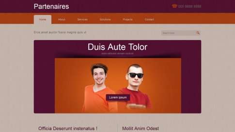 Шаблон дизайна портфолио "Partenaires" - фото к элементу №11 от 01.01.2019