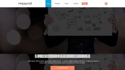 Шаблон дизайна портфолио "Payroll" - фото к элементу №12 от 01.01.2019