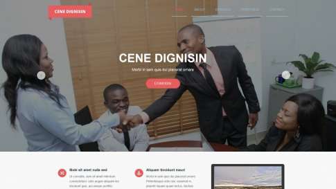 Шаблон дизайна портфолио "Cene Dignisin" - фото к элементу №14 от 01.01.2019