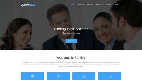 Шаблон дизайна портфолио "FlyBird" - фото к элементу №5 от 01.01.2019