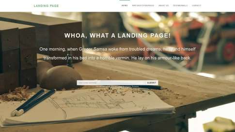 Шаблон дизайна лэндинга "Landing Page Bootstrapious" - фото к элементу №11 от 01.01.2019