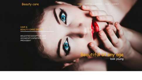 Шаблон дизайна блога "Beauty Care" - фото к элементу №4 от 01.01.2019