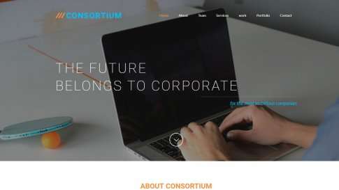 Шаблон лэндинга Consortium - фото к элементу №11 от 21.12.2018